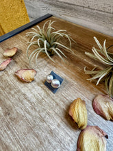 Load image into Gallery viewer, Sterling Silver Saucer Pearl Stud Earrings – 12mm, Stamp MS, USA Made